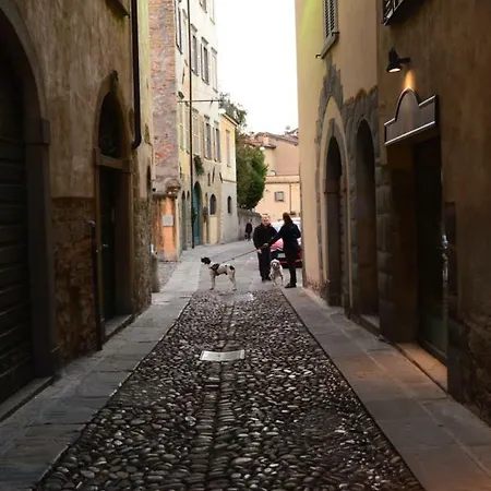 Apartamento Civetta